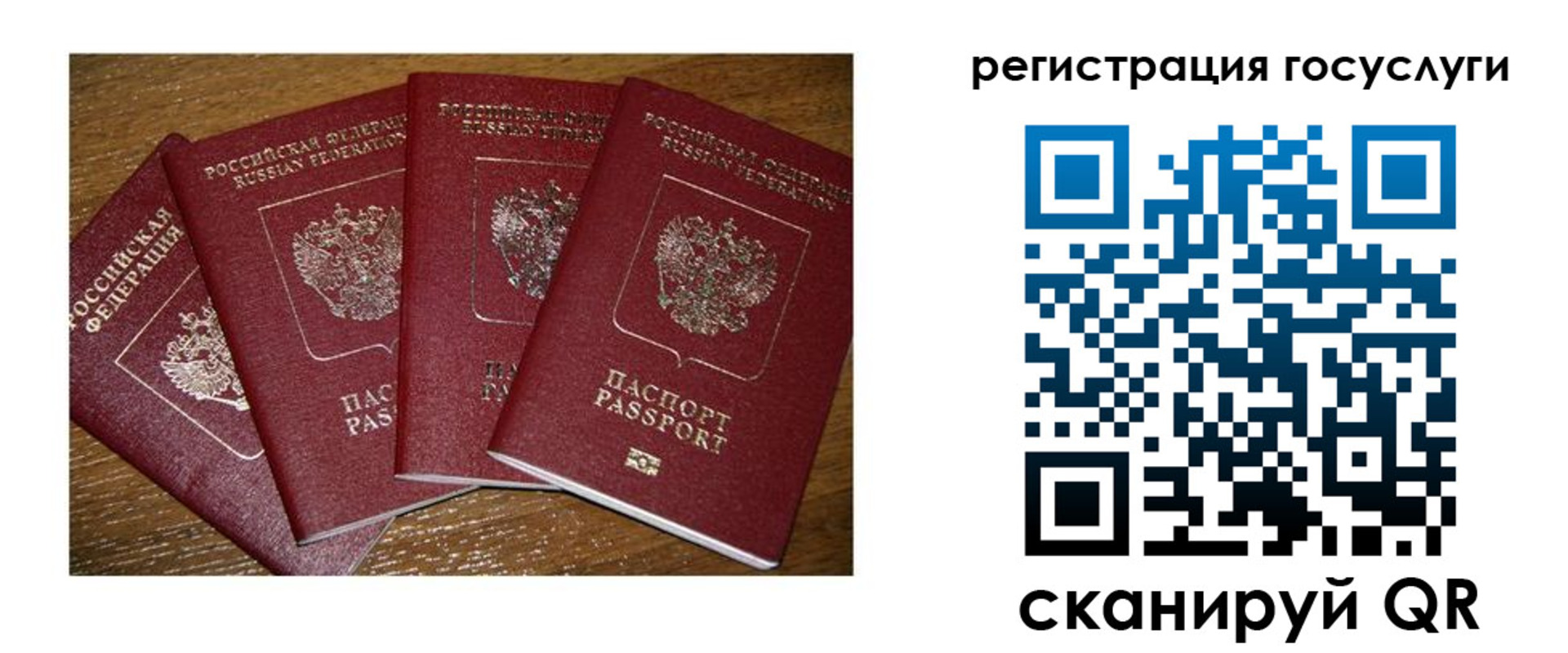 временная регистрация гарантия в Сальске